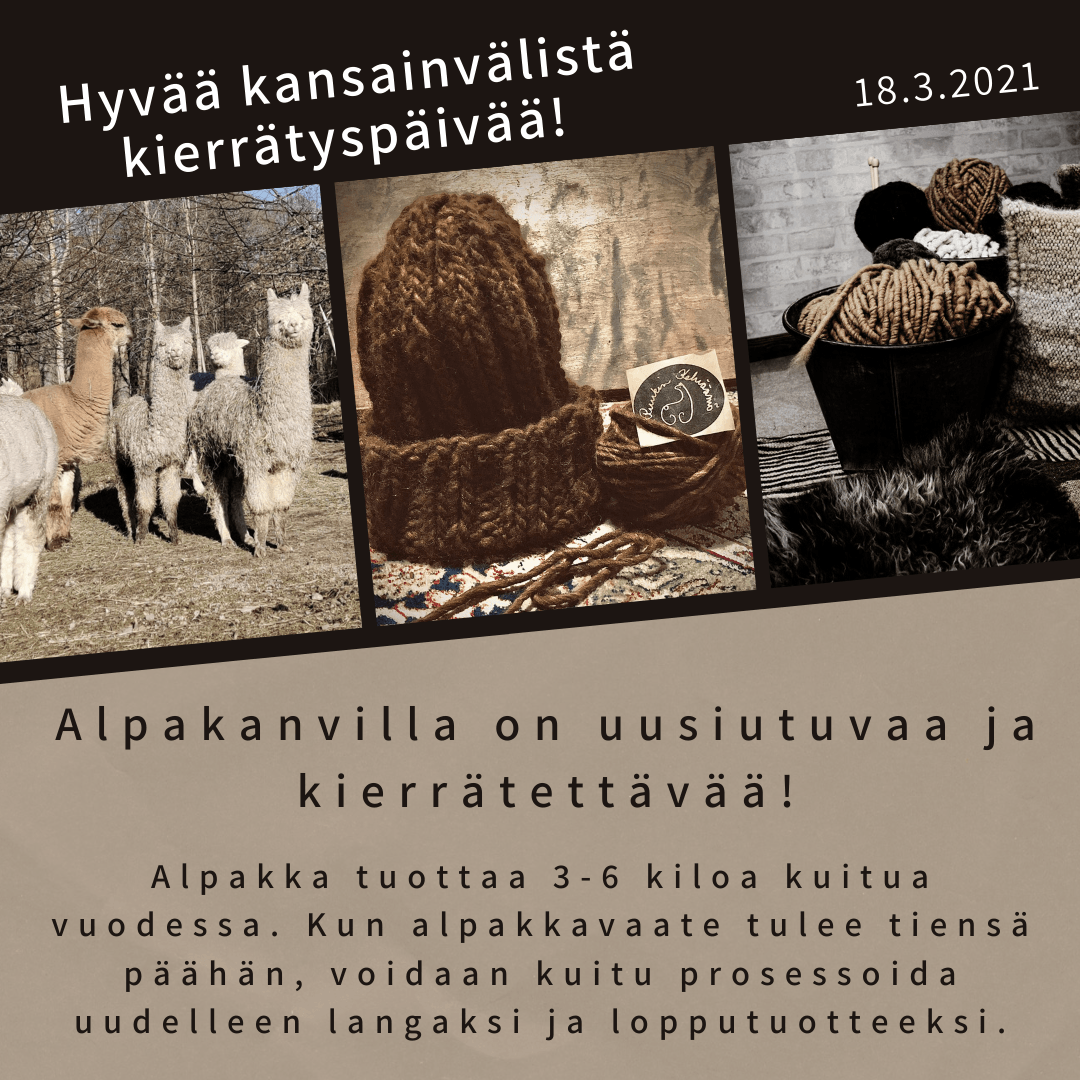 Alpakanvilla on uusiutuvaa ja kierrätettävää - Ruukin kehräämö