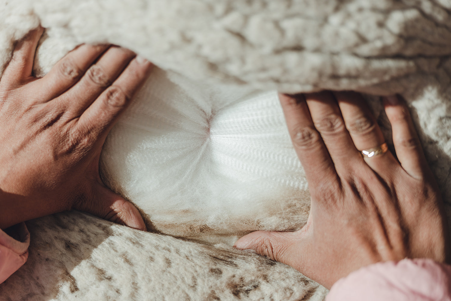 Royal Alpakka vs. merinovilla